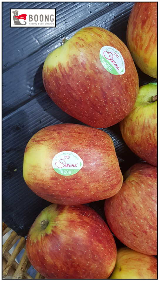 Screen Shot 2018-07-27 at 8.24.29 PM